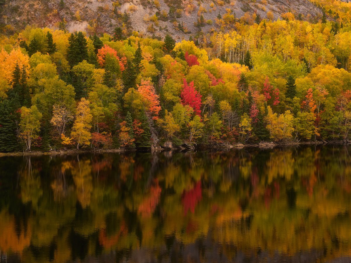 Newfoundland Photo Workshop