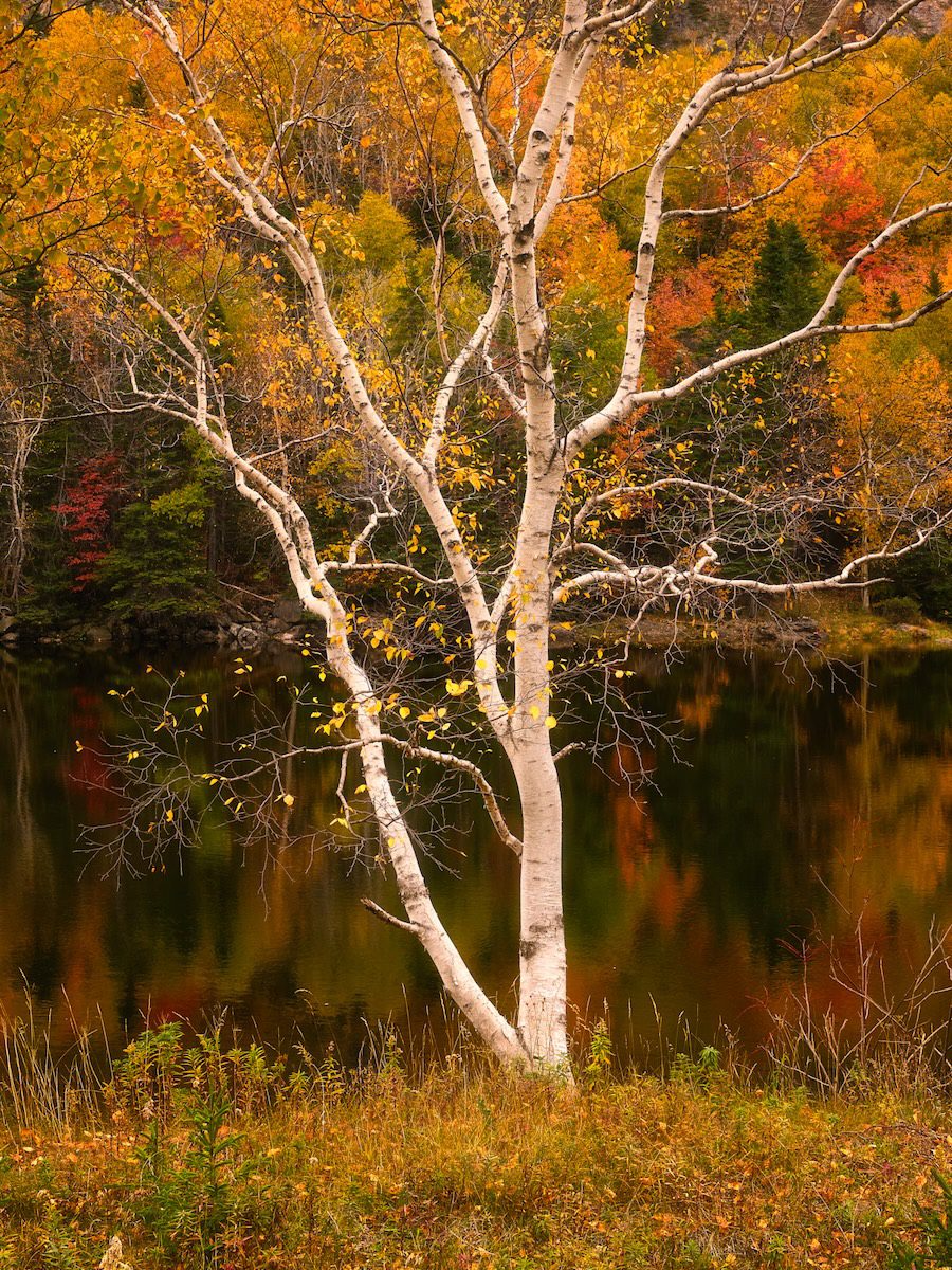 Newfoundland Photo Workshop
