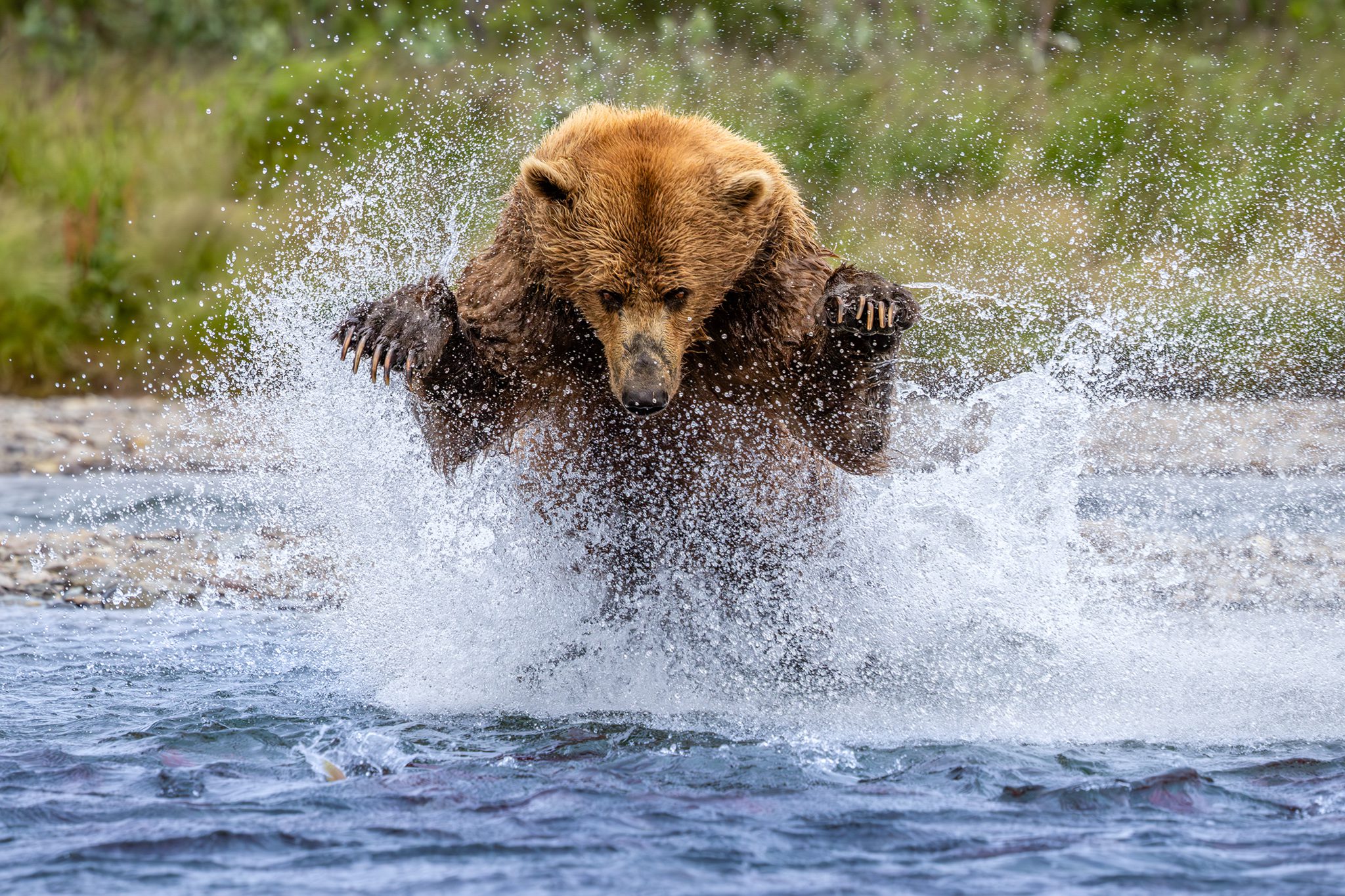 Rockstar 2025 John Dambik