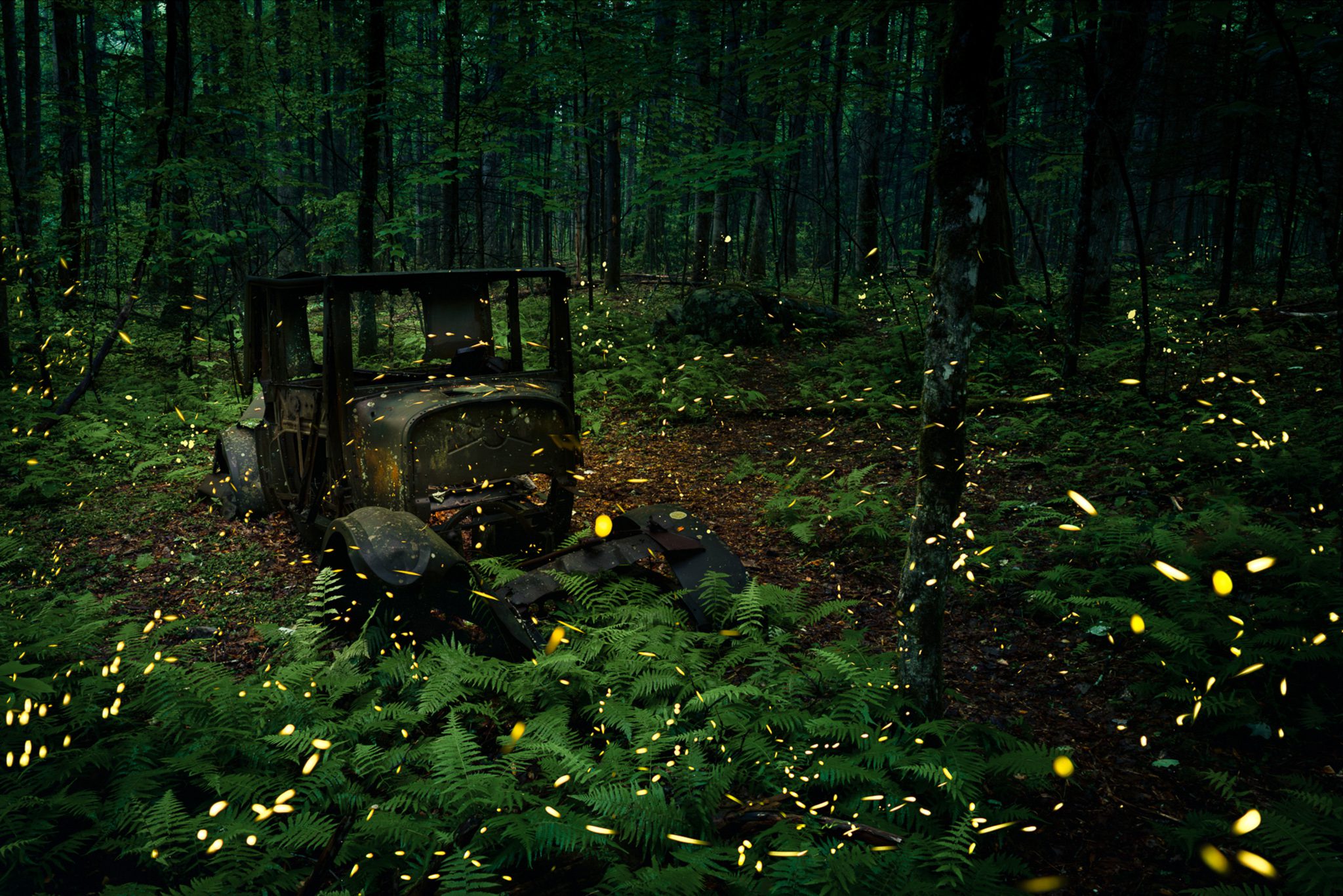 Rockstar 2025 Linda Aulicino