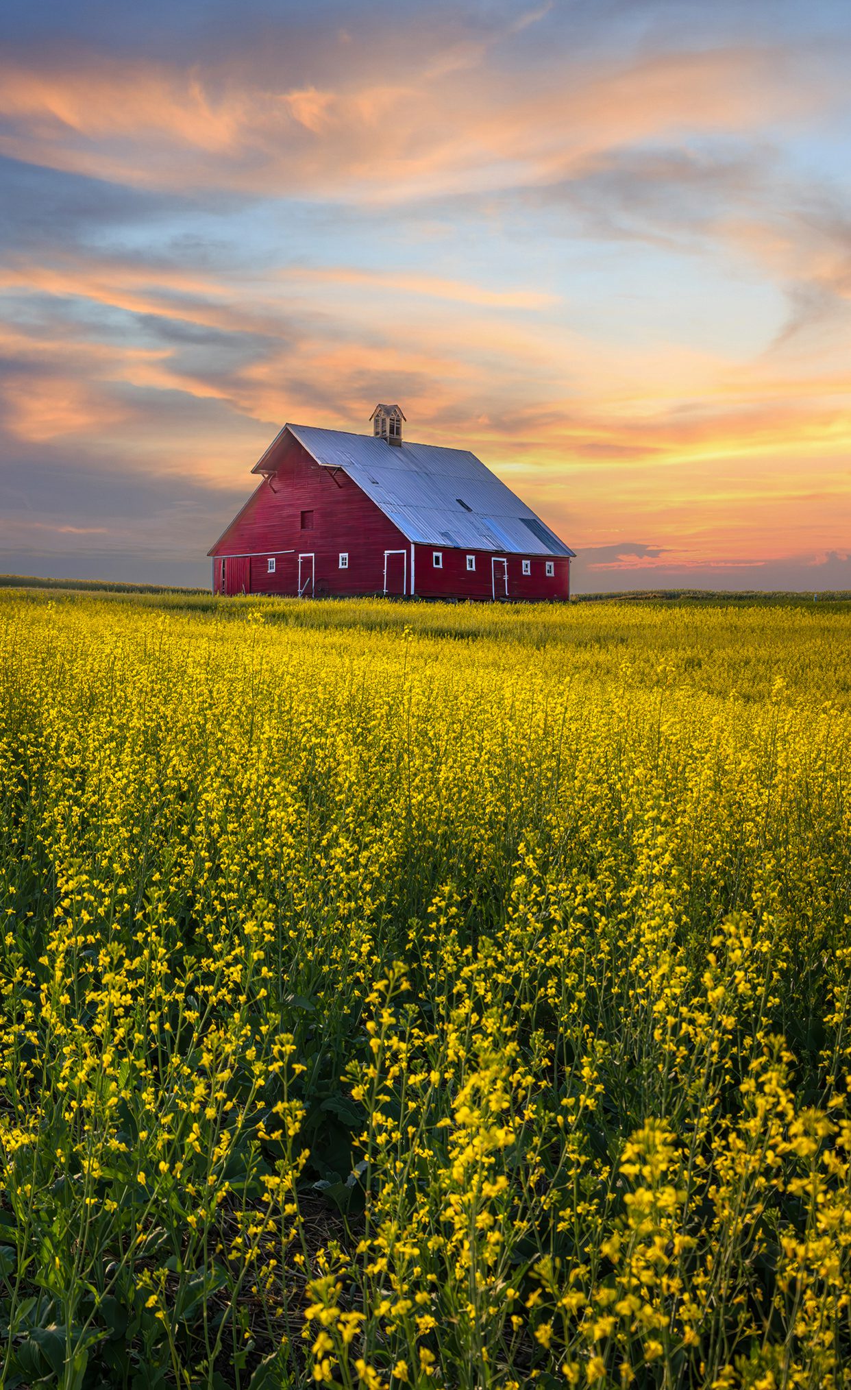 Third Place 2025 Pete Dysinger