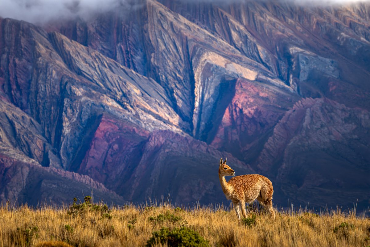 Altiplano Adventure Photo Workshop South America