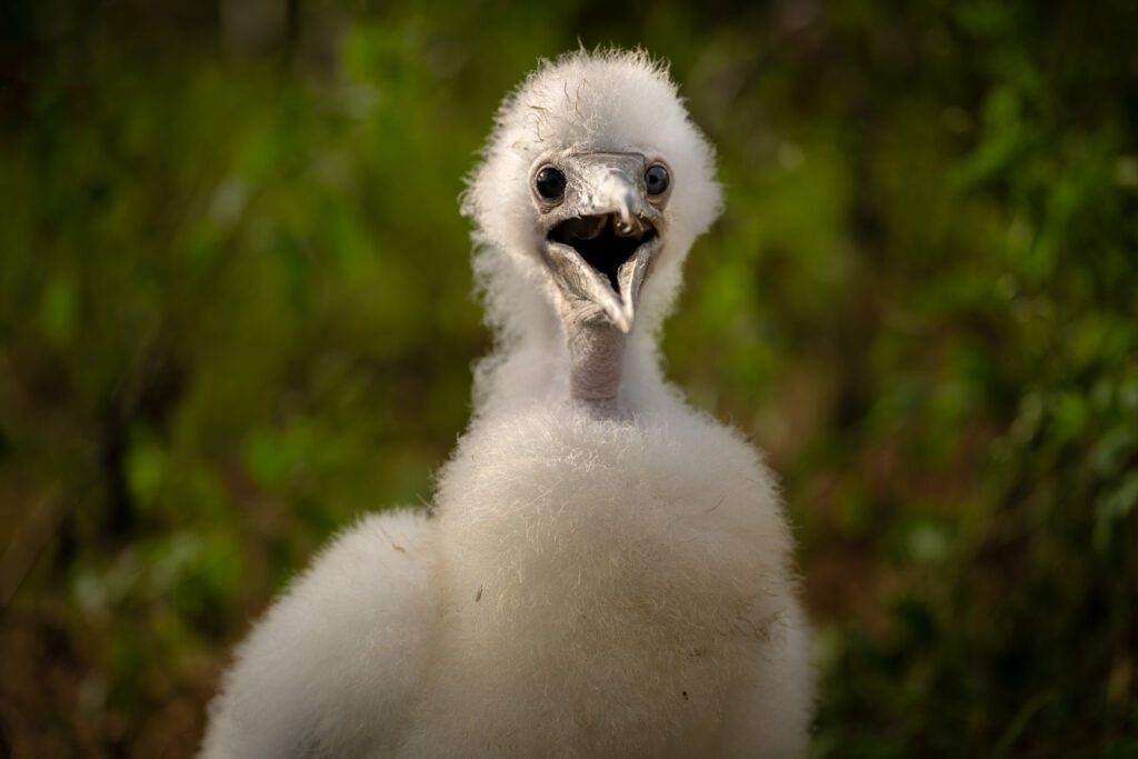 Galapagos Photo Workshop