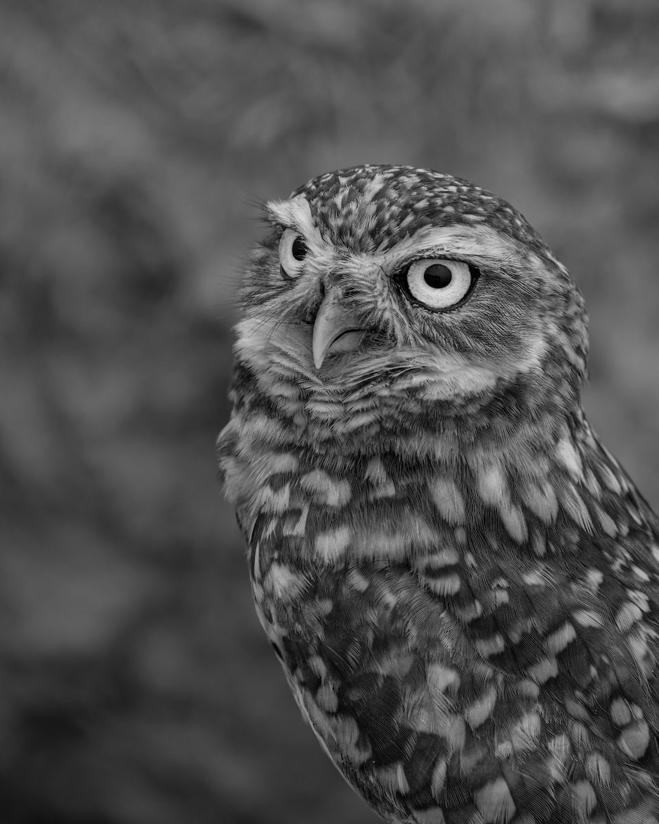 Colorful Colombia Landscape and Wildlife Photo Workshop Colorful Colombia Landscape and Wildlife Photo Workshop