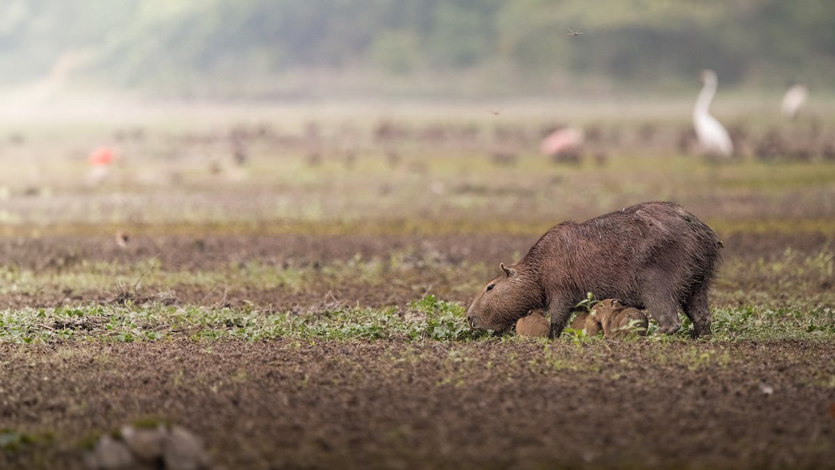 Colorful Colombia Landscape and Wildlife Photo Workshop Colorful Colombia Landscape and Wildlife Photo Workshop