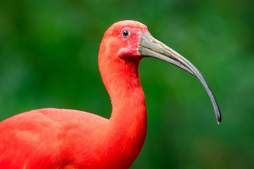 Colorful Columbia Landscape and Wildlife Photo Workshop