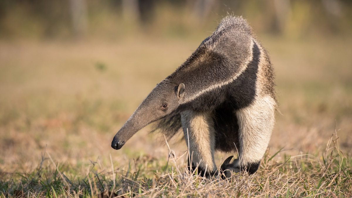 Colorful Colombia Landscape and Wildlife Photo Workshop Colorful Colombia Landscape and Wildlife Photo Workshop