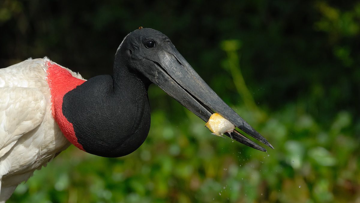 Colorful Colombia Landscape and Wildlife Photo Workshop Colorful Colombia Landscape and Wildlife Photo Workshop