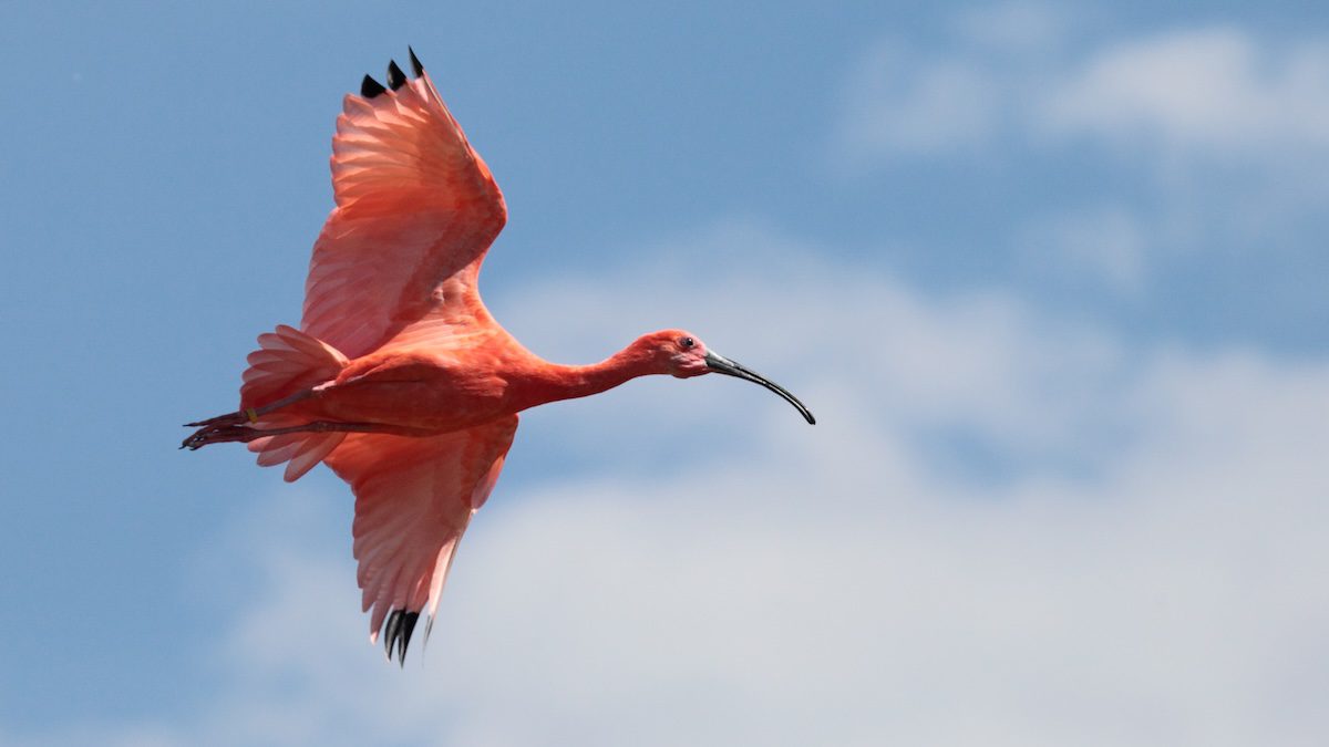 Colorful Colombia Landscape and Wildlife Photo Workshop Colorful Colombia Landscape and Wildlife Photo Workshop