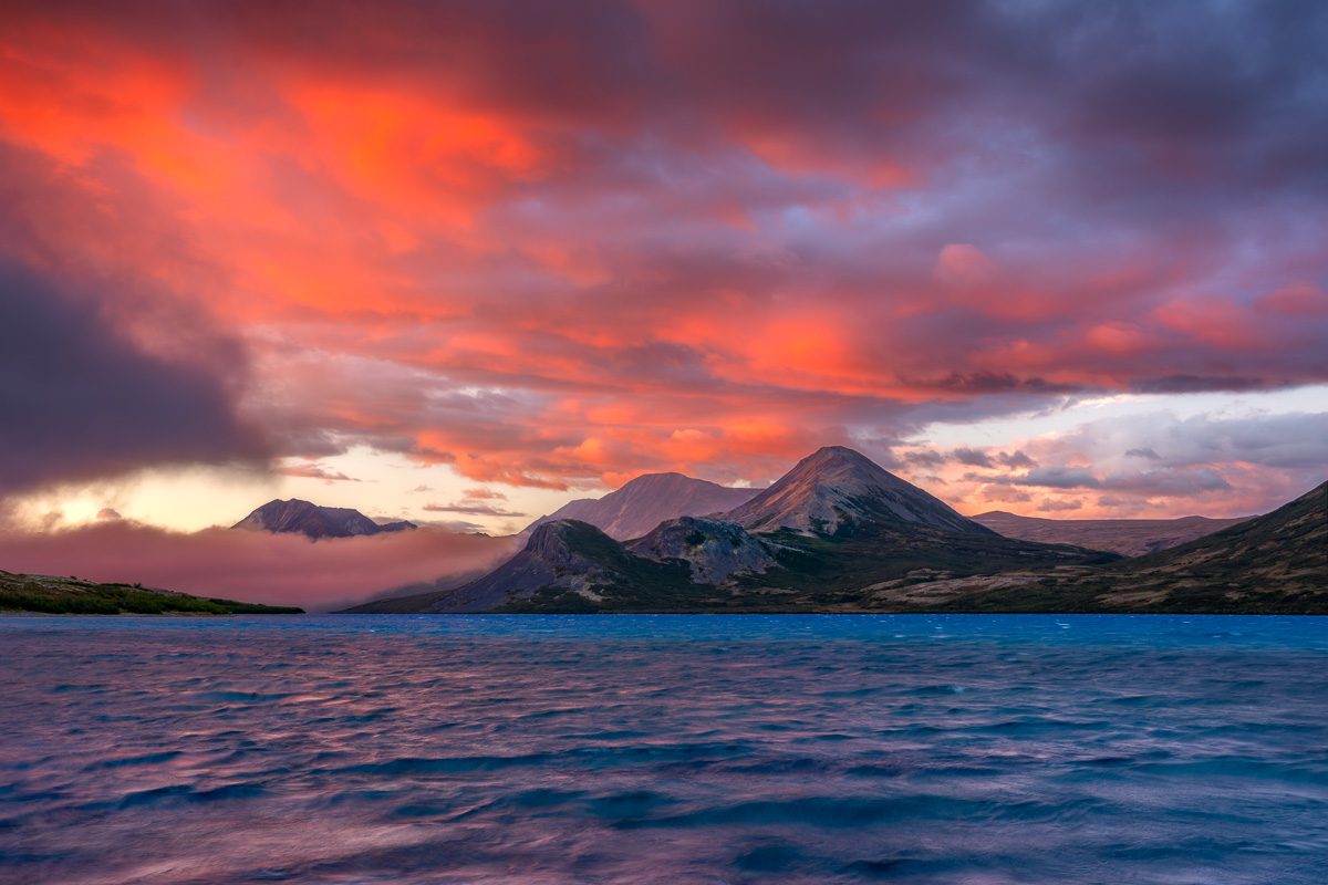 Alaska Bears and Red Salmon Photo Workshop