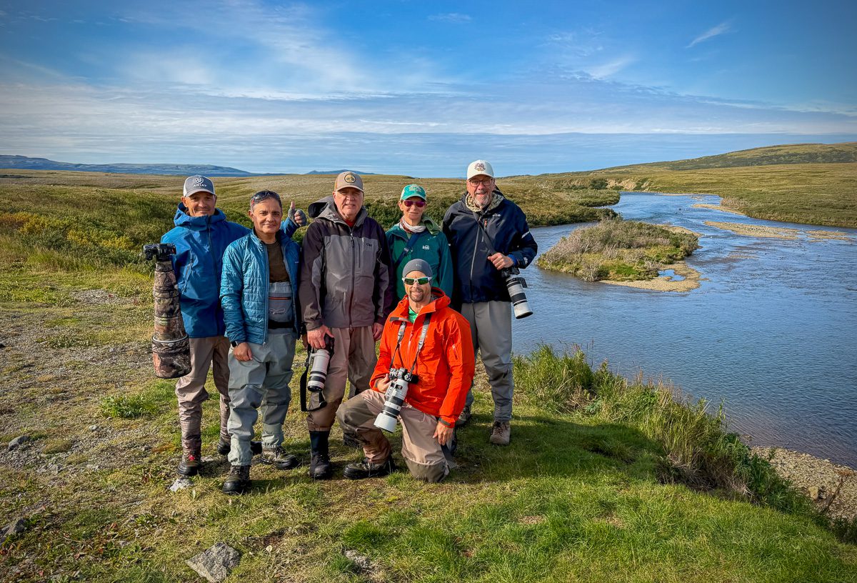 Alaska Bears and Red Salmon Photo Workshop