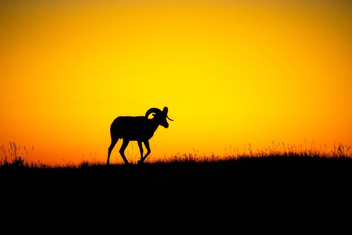 South Dakota Badlands Photo Workshop Custer