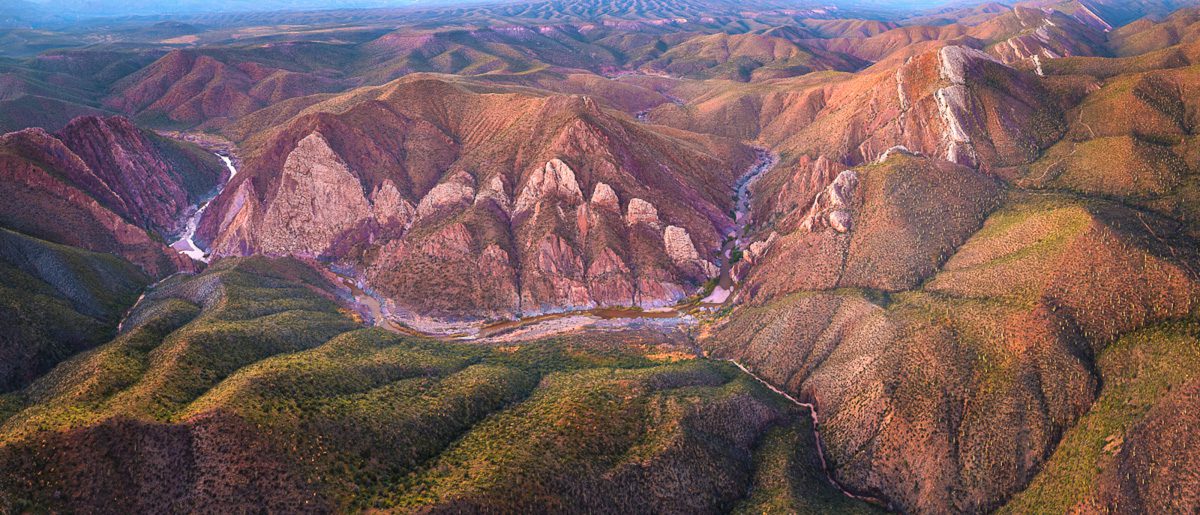 Sonoran Secrets Photo Workshop Arizona