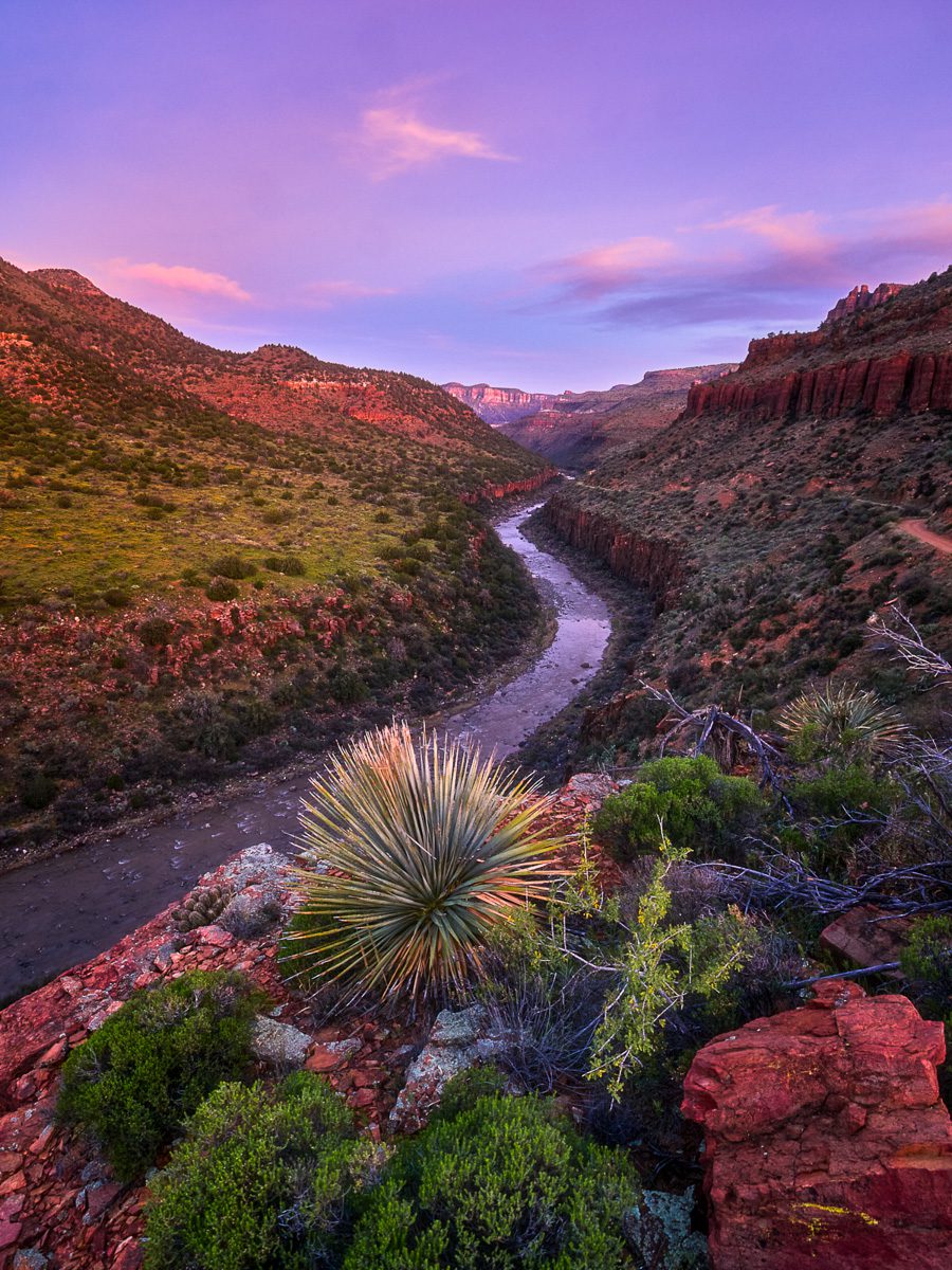 Sonoran Secrets Photo Workshop Arizona