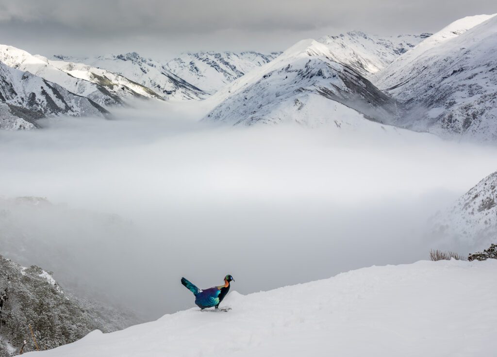Wild China Photo Workshop Sichuan
