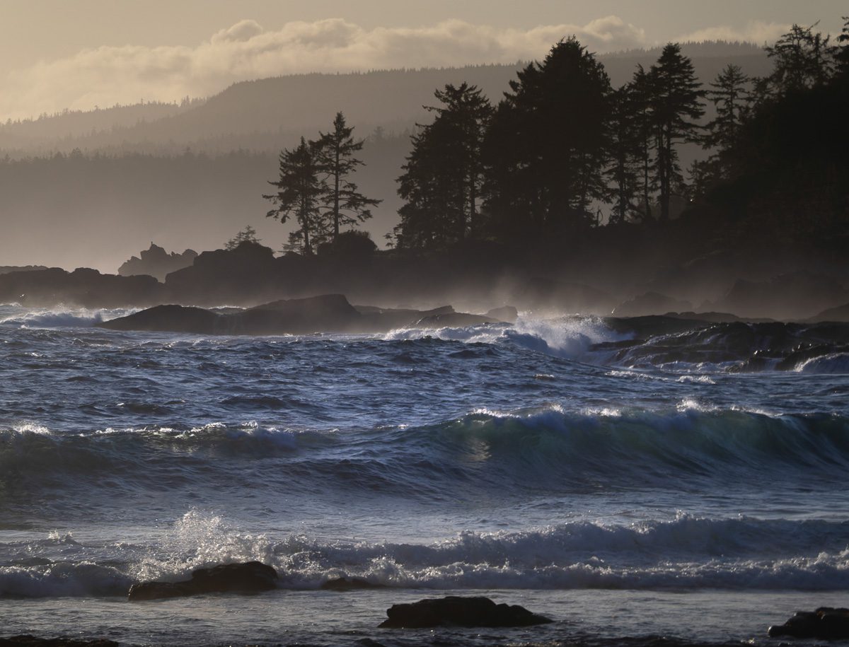 Vancouver Island Photo Workshop Vancouver Island Photo Workshop