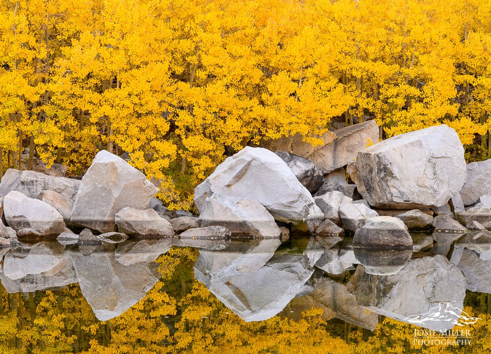 Eastern Sierras Fall Photo Workshop