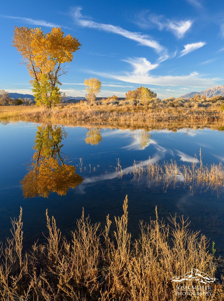 Eastern Sierras Fall Photo Workshop
