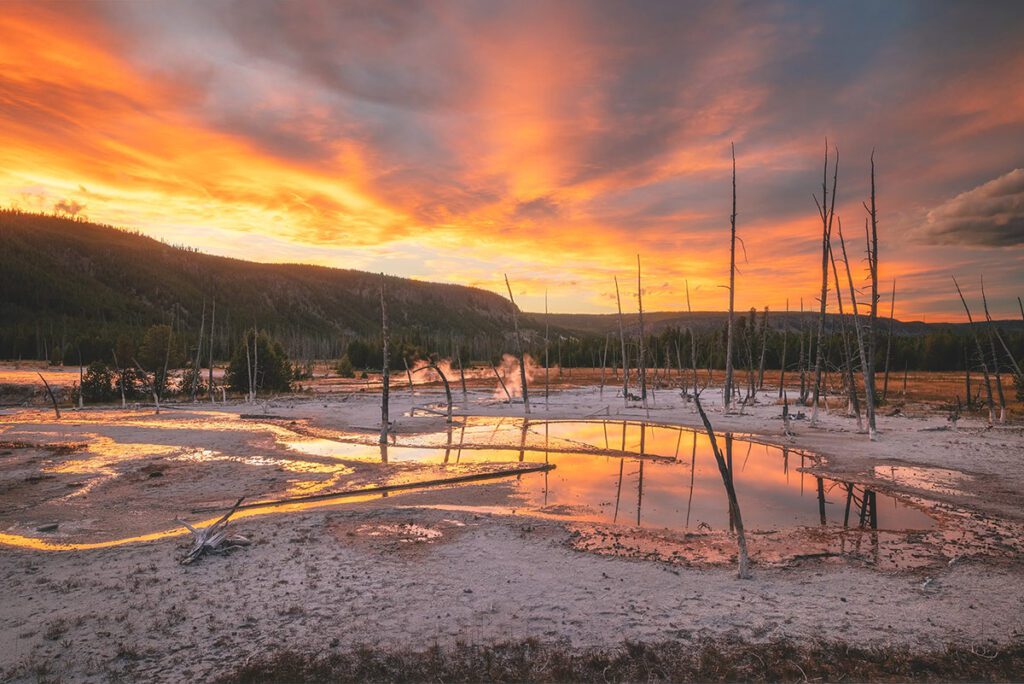 Yellowstone Fall Photo Workshop
