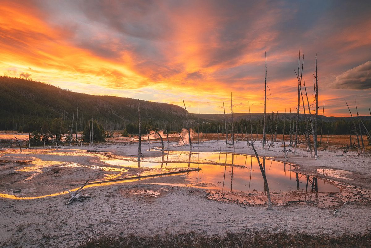 Yellowstone Fall Photo Workshop Yellowstone Fall Photo Workshop