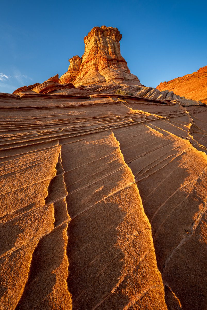 The Wave and Beyond Photo Workshop